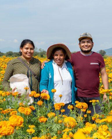 Estas productoras de flores para los altares de muertos rompen estereotipos en Doxey, Hidalgo