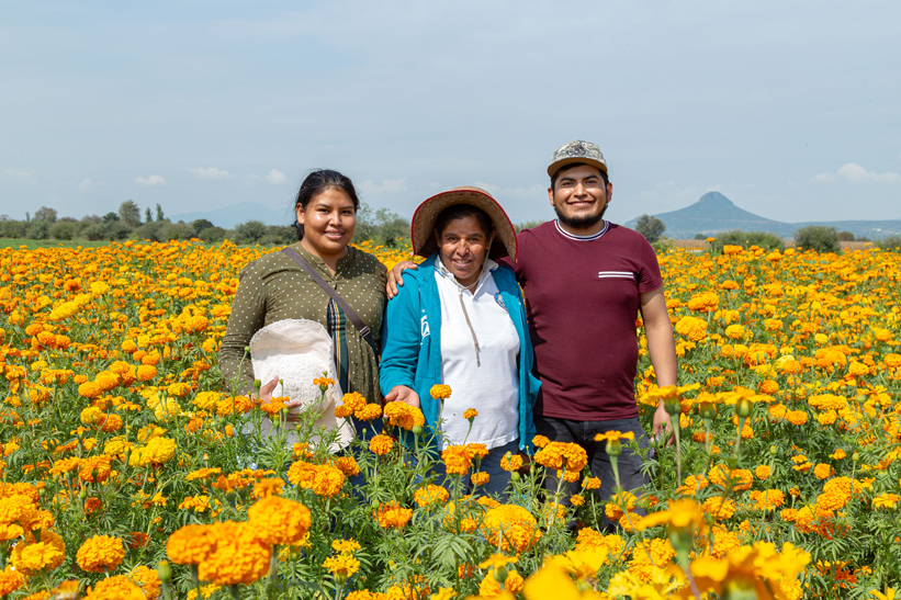 Estas productoras de flores para los altares de muertos rompen estereotipos en Doxey, Hidalgo